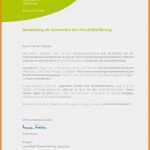 Lebenslauf Vorlage Duales Studium Gut 58 Schön Bild Lebenslauf Duales Studium Muster