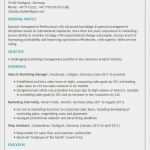 Lebenslauf Vorlage Englisch Bewundernswert Bewerben Auf Englisch Tipps Und Muster Zu Cv & Resume