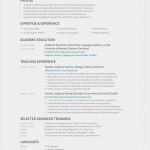 Lebenslauf Vorlage Englisch Elegant Lebenslauf Englisch Cv Oder Résumé Unterschiede