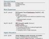 Lebenslauf Vorlage Englisch Genial Resume Englisch Muster