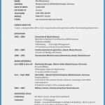 Lebenslauf Vorlage Englisch Großartig 11 Cv Vorlage Englisch