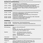 Lebenslauf Vorlage Englisch Neu Lebenslauf In Tabellarischer form Lebenslauf Beispiel