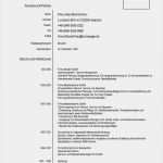 Lebenslauf Vorlage Frau Mit Kind Angenehm Lebenslauf Vorlage Mit Kind Inspiration Lebenslauf