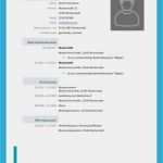 Lebenslauf Vorlage Frau Mit Kind Best Of Lebenslauf Vorlage Professionell Kostenloser Download