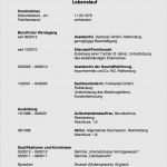 Lebenslauf Vorlage Frau Mit Kind Bewundernswert Lebenslauf Vorlage Mit Kind Bewundernswert Muster