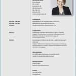 Lebenslauf Vorlage Frau Mit Kind Elegant Lebenslauf Vorlage Mit Kind Wunderbar 10 Lebenslauf