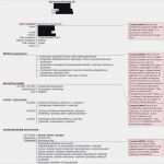 Lebenslauf Vorlage Frau Mit Kind Genial 26 Rahmen Bewerbungsschreiben Ferienjob Muster Fiziell