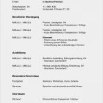 Lebenslauf Vorlage Frau Mit Kind Neu Lebenslauf Vorlage Frau Mit Kind Papacfo