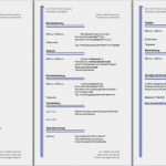 Lebenslauf Vorlage Free Erstaunlich 15 Free Lebenslauf Vorlage Zum Ausfüllen Und Ausdrucken