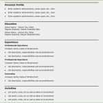 Lebenslauf Vorlage Free Süß 11 Free Lebenslauf Muster Google Docs Interview