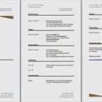 Lebenslauf Vorlage Freeware Beste Gemütlich Kostenloser Lebenslauf Vorlage Herunterladen