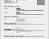 Lebenslauf Vorlage Freeware Genial Professioneller Lebenslauf Vorlage Kostenlos Lebenslauf