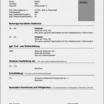 Lebenslauf Vorlage Freeware Genial Professioneller Lebenslauf Vorlage Kostenlos Lebenslauf