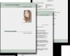 Lebenslauf Vorlage Freeware Luxus Kreative Bewerbung Schreiben Bei Freeware Download