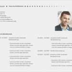 Lebenslauf Vorlage Freeware Neu Professioneller Lebenslauf Vorlage Lebenslauf Beispiel
