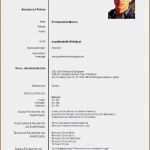 Lebenslauf Vorlage Freeware Wunderbar 14 Gestaltung Lebenslauf Vorlagen123 Vorlagen123