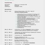 Lebenslauf Vorlage Freeware Wunderbar Professioneller Lebenslauf Vorlage Kostenlos Lebenslauf
