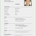 Lebenslauf Vorlage Für Praktikum Best Of 17 Schüler Lebenslauf Für Praktikum