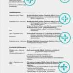 Lebenslauf Vorlage Für Praktikum Erstaunlich Lebenslauf Praktikum Studentin Beispiele