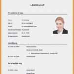 Lebenslauf Vorlage Für Schüler Fabelhaft 20 Lebenslauf Muster Für Schüler