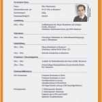 Lebenslauf Vorlage Für Schüler Genial Lebenslauf Muster Für Schüler Besten Der Neues Lebenslauf