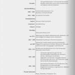 Lebenslauf Vorlage Handwerk Erstaunlich Anschreiben &amp; Lebenslauf Handwerk Und Gestaltung M