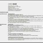 Lebenslauf Vorlage Handwerk Fabelhaft Lebenslauf Zimmermann Muster Zimmermann Vorlage