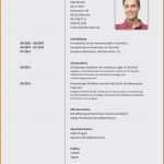 Lebenslauf Vorlage Ingenieur Angenehm 15 Lebenslauf Vorlage Ingenieur