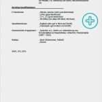 Lebenslauf Vorlage Ingenieur Best Of Lebenslauf Praktikum Mit Beispielen