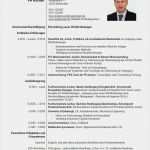 Lebenslauf Vorlage Ingenieur Bewundernswert Euro Cv Lebenslauf Karriereletter
