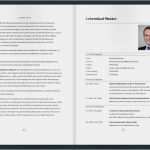 Lebenslauf Vorlage Ingenieur Einzigartig Erfolgreich Bewerben In Der Schweiz