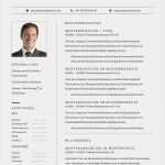 Lebenslauf Vorlage Ingenieur Elegant Premium Bewerbungsmuster 12