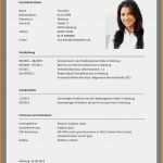 Lebenslauf Vorlage Ingenieur Fabelhaft 45 Entwurf Muster Lebenslauf Ingenieur