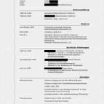 Lebenslauf Vorlage Ingenieur Fabelhaft Diplom Ingenieur Lebenslauf Muster so Okay Bewerbungsforum