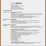 Lebenslauf Vorlage Ingenieur Süß 10 Lebenslauf Vorlage Ingenieur