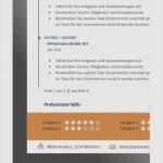 Lebenslauf Vorlage Job Cool Profi Lebenslauf Vorlage Beste Profi Lebenslauf Vorlagen