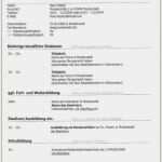 Lebenslauf Vorlage Job Gut 14 Platzierung Lebenslauf Muster Für Job format Zum Erfolg