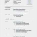 Lebenslauf Vorlage Job Gut 31 Best Images About Lebenslauf Vorlagen &amp; Muster On