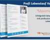 Lebenslauf Vorlage Job Neu Profi Lebenslauf Muster Vorlage &quot;maximilian&quot; top Job