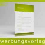 Lebenslauf Vorlage Jobware Angenehm Lebenslauf Vorlage Word Best Eu Lebenslauf Zum Download