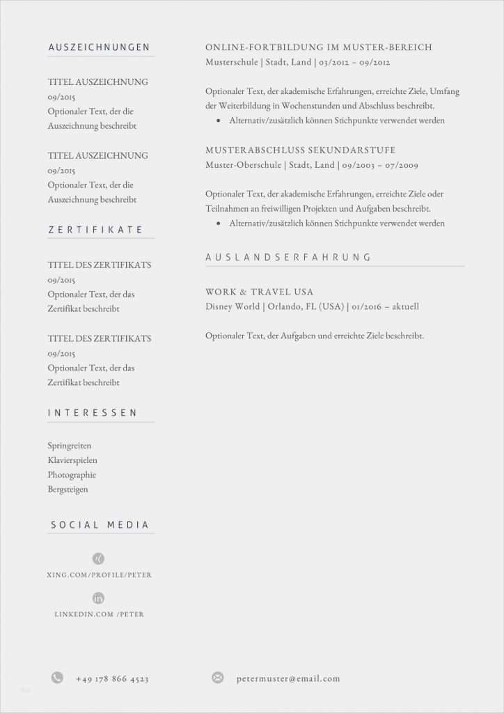 Lebenslauf Vorlage Jobware Schön Premium Bewerbungsmuster 11