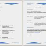 Lebenslauf Vorlage Kostenlos Download Beste Lebenslauf Beispiel Vorlage Muster Kostenlos