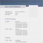 Lebenslauf Vorlage Kostenlos Download Cool Berufserfahrung Im Lebenslauf Bewerbung