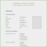 Lebenslauf Vorlage Kostenlos Download Pdf Großartig January 2019