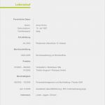 Lebenslauf Vorlage Kostenlos Drucken Luxus Lebenslauf Muster Quereinsteiger
