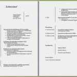 Lebenslauf Vorlage Kostenlos Ohne Anmeldung Großartig Vorlage Lebenslauf Word Papacfo