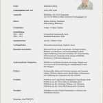 Lebenslauf Vorlage Kostenlos Schüler Elegant 17 Lebenslauf Muster Kostenlos Für Schüler