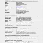 Lebenslauf Vorlage Kostenlos Schüler Erstaunlich Lebenslauf Vorlagen Headhunter100