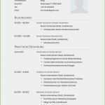 Lebenslauf Vorlage Kostenlos Schüler Genial Lebenslauf Schüler Vorlagen Kostenlos Angenehme