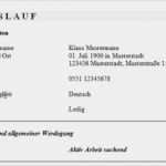Lebenslauf Vorlage Kostenlos Schüler Großartig formular Für Lebenslauf Lebenslauf Beispiel